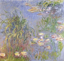 Vannliljer, klynge av gress, 1914-17
